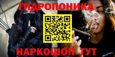 2c-b Обь