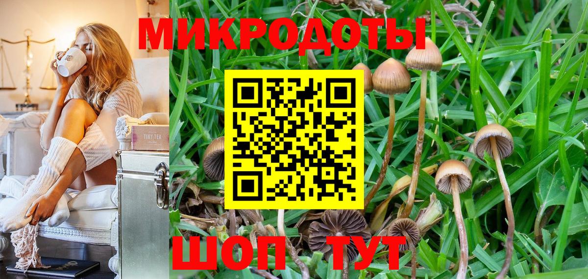 Туапсе  Галлюциногенные грибы Cubensis  Вход с VPN  Галлюциногенные грибы мухоморы 